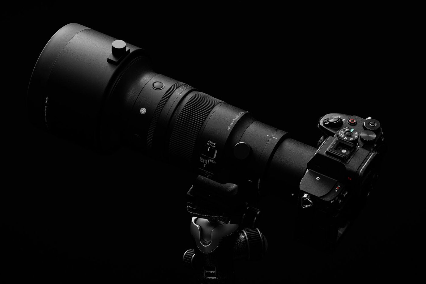 Przekrój optyczny 500mm F5.6 DG DN OS | Sports