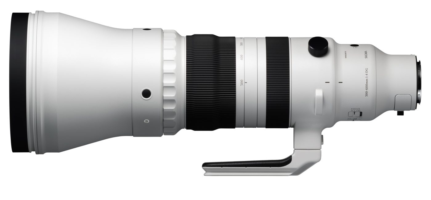 Sigma 300-600mm F4 DG OS | Sports