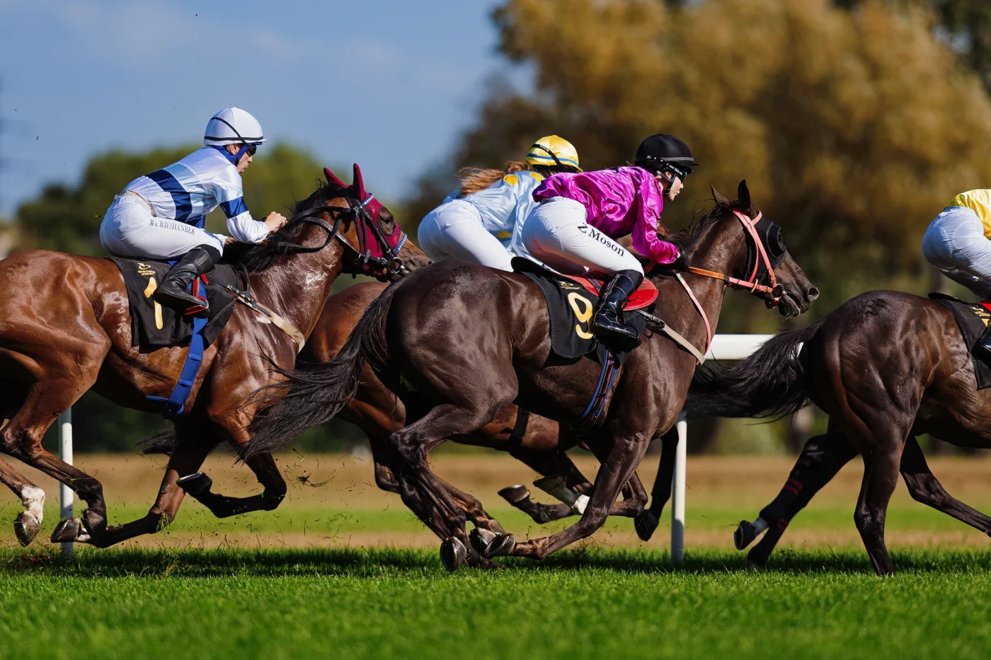 zdjęcie wyścigów konnych wykonane obiektywem SIGMA 200 mm F2 DG OS Sports