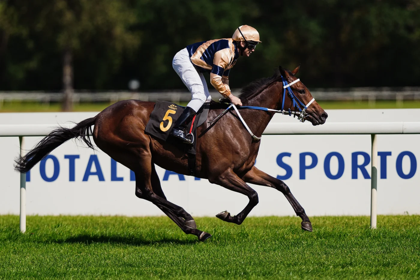 zdjęcie wyścigów konnych wykonane obiektywem SIGMA 200 mm F2 DG OS Sports